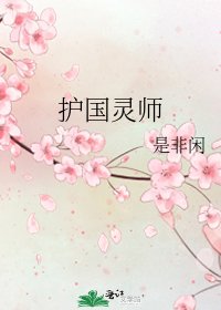护国灵师